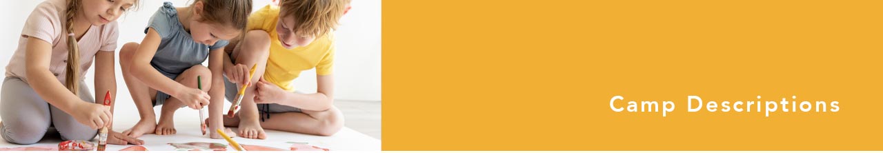 btn - camp descriptions2